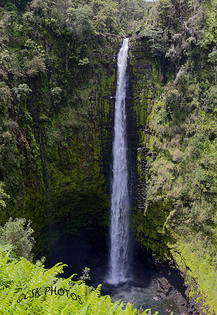 The Big Island