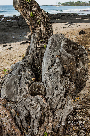 The Big Island