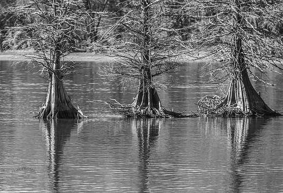 BLUE MOUNTAIN LAKE
