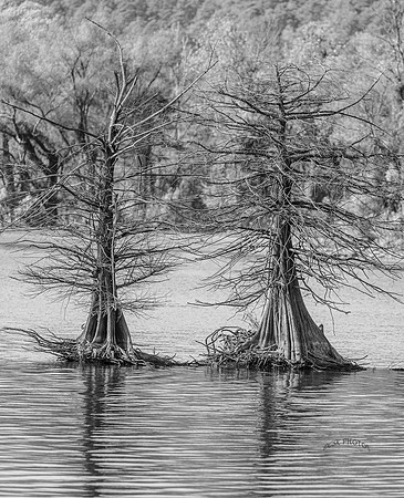BLUE MOUNTAIN LAKE