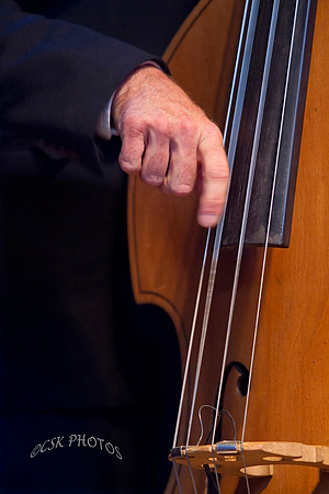 JAZZ BAND BASS PLAYER