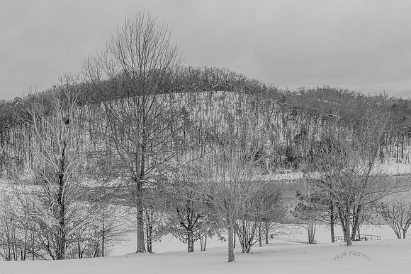 WINTER AT CAROL ANN CROSS PARK