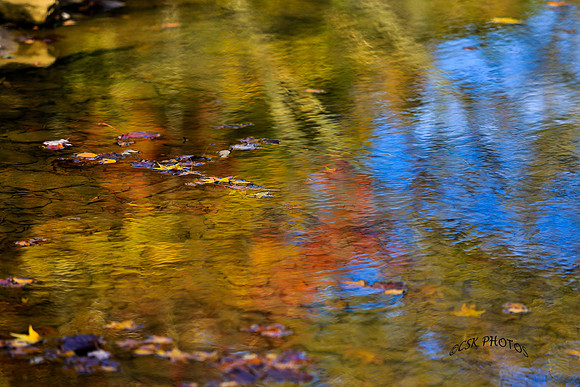 Fall Creek reflection, 2015