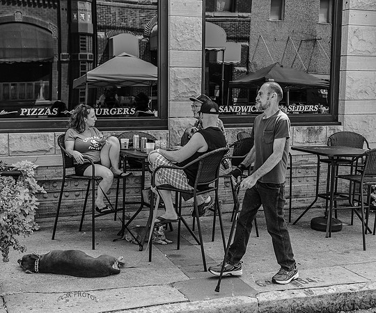 CAFE WITH DOGS