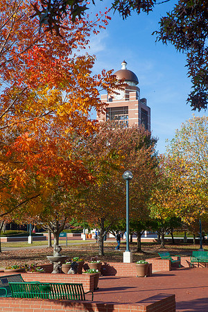 FALL CAMPUS