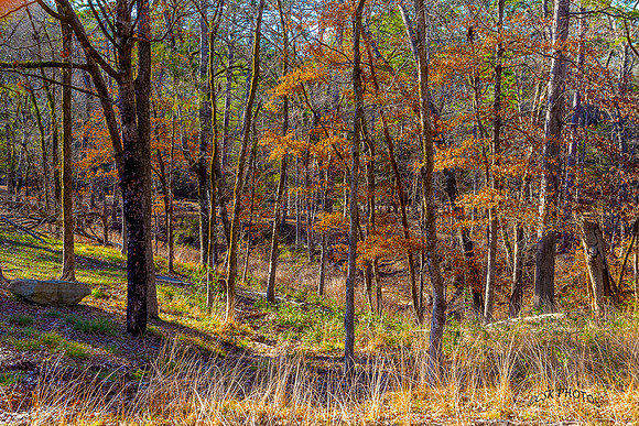BEAVERS BEND STATE PARK, OKLA.