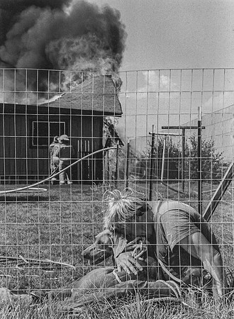 MAN RESCUES DOGS FROM BURNING HOUSE