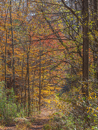 BOXLEY, ARKANSAS