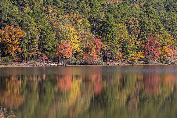 COVE LAKE, ARKANSAS