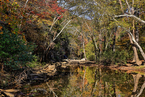 Fall Creek autumn, 2015