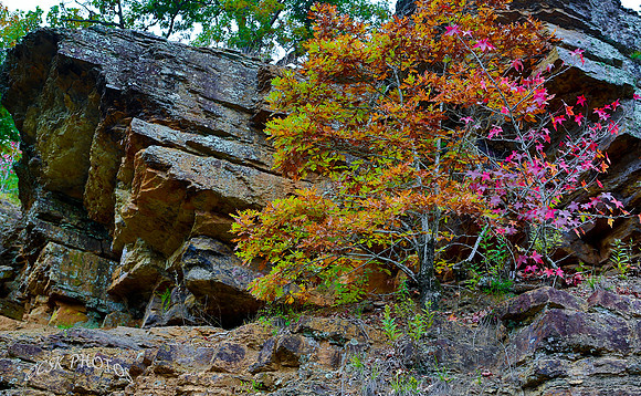 Autumn at Lee Creek, Arkansas