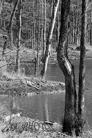 LAKE FORT SMITH STATE PARK