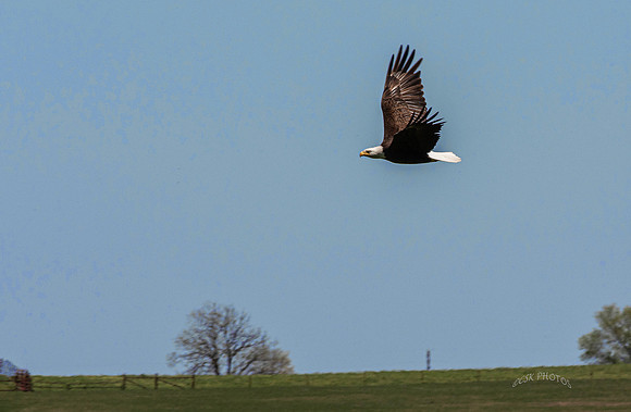 HIGHFILL EAGLE-3