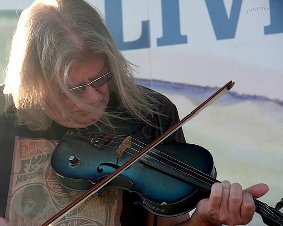 TOM WARE PLAYS THE BLUE FIDDLE